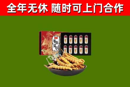 青山区烟酒回收冬虫夏草礼盒.jpg