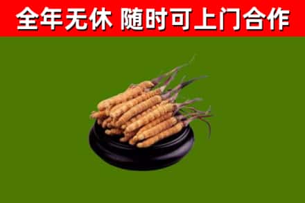 青山区烟酒回收冬虫夏草.jpg